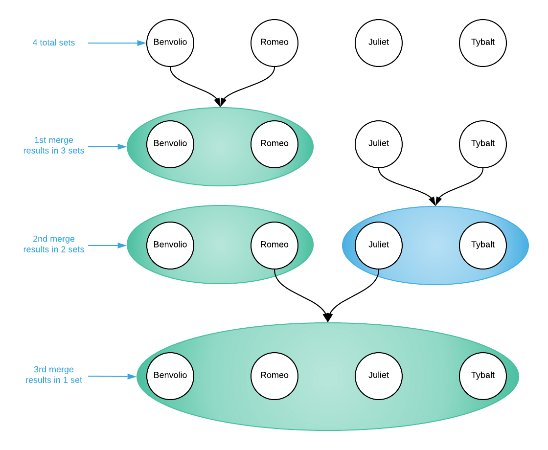 Disjoint Set Algorithm